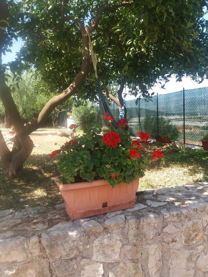 Appartamento In Collina Fondi Exterior photo